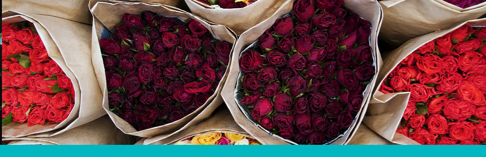 From Bloom to Bouquet: Cold Chain Logistics in Flower Delivery