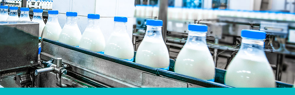 Cold Chain Solutions for the Dairy Industry