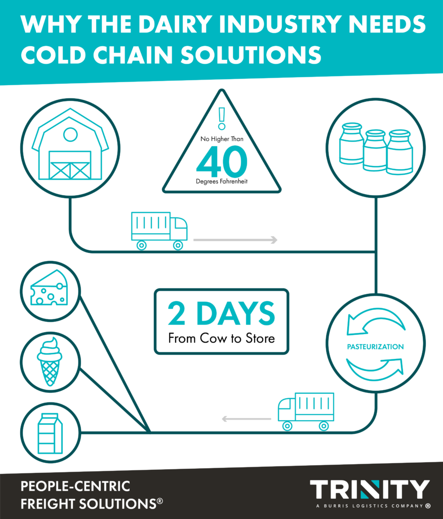 An infographic titled "Why The Dairy Industry Needs Cold Chain Solutions" and then showing an icon of a barn with an icon of a truck going towards an icon of a storage tank. In between the storage tank and barn is a triangle reading "No Higher Than 40 Degrees Fahrenheit". From the storage tank icon a line leads to an icon of two arrows going opposite ways with the word "pasteurization" between them. From that icon another truck icon is leading towards three icons of dairy items: cheese, ice cream, and milk. In between those icons and the pasteurization is a rectangle with the words "2 Days from Cow to Store" in it. At the bottom is a black graphic with the Trinity Logistics logo and their tagline "People-Centric Freight Solutions."